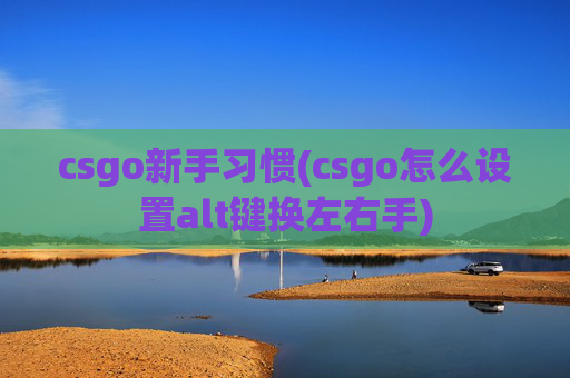 csgo新手习惯(csgo怎么设置alt键换左右手)
