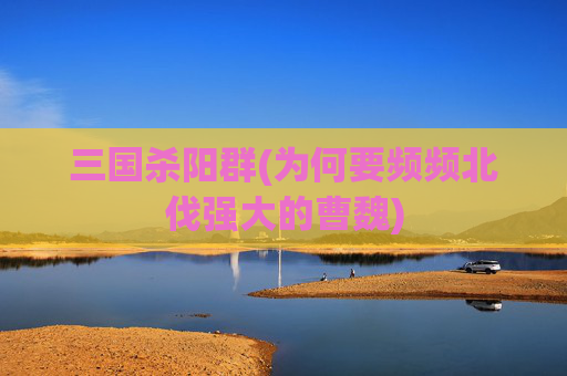 三国杀阳群(为何要频频北伐强大的曹魏)