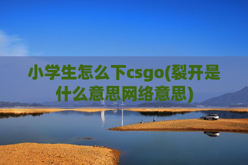 小学生怎么下csgo(裂开是什么意思网络意思)