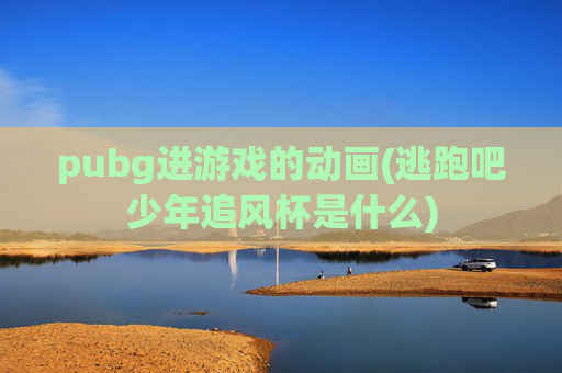 pubg进游戏的动画(逃跑吧少年追风杯是什么)