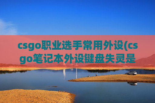 csgo职业选手常用外设(csgo笔记本外设键盘失灵是什么原因)