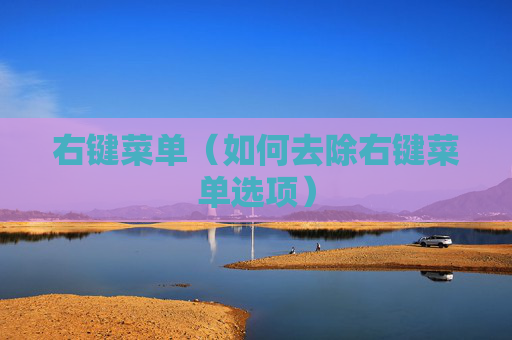 右键菜单（如何去除右键菜单选项）