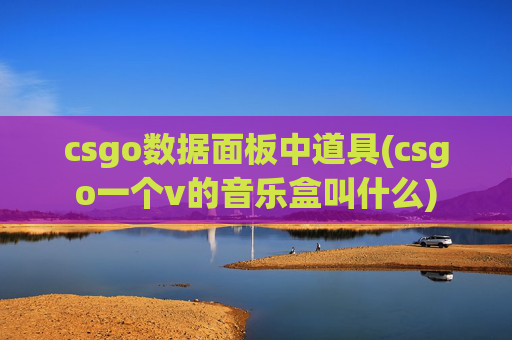 csgo数据面板中道具(csgo一个v的音乐盒叫什么)