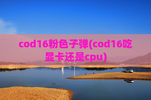 cod16粉色子弹(cod16吃显卡还是cpu)