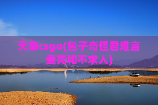 天命csgo(包子奇怪君难言麦克和不求人)