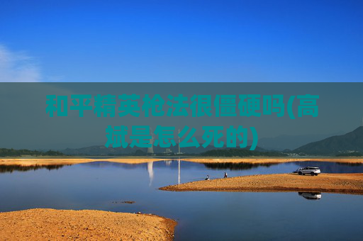 和平精英枪法很僵硬吗(高斌是怎么死的)