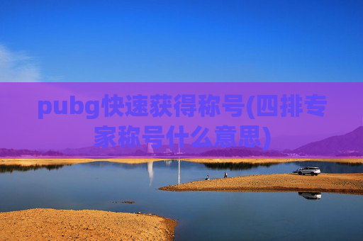 pubg快速获得称号(四排专家称号什么意思)