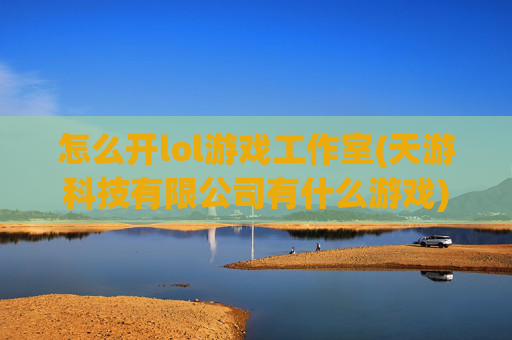 怎么开lol游戏工作室(天游科技有限公司有什么游戏)