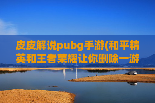 皮皮解说pubg手游(和平精英和王者荣耀让你删除一游戏)
