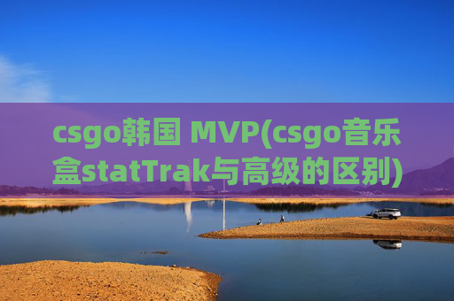 csgo韩国 MVP(csgo音乐盒statTrak与高级的区别)