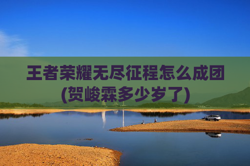 王者荣耀无尽征程怎么成团(贺峻霖多少岁了)