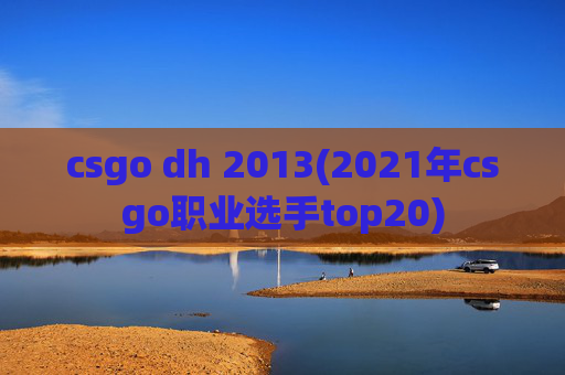 csgo dh 2013(2021年csgo职业选手top20)