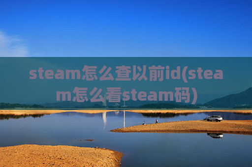 steam怎么查以前id(steam怎么看steam码)