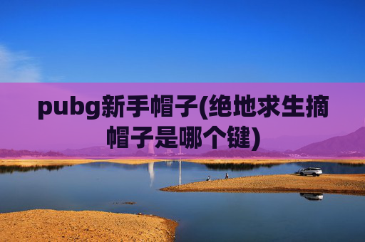 pubg新手帽子(绝地求生摘帽子是哪个键)