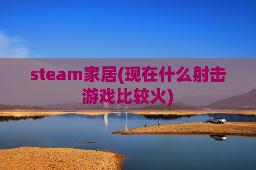 steam家居(现在什么射击游戏比较火)