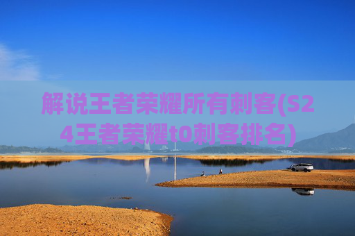 解说王者荣耀所有刺客(S24王者荣耀t0刺客排名)