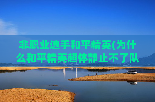 非职业选手和平精英(为什么和平精英超体静止不了队友)