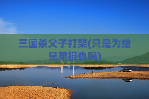 三国杀父子打架(只是为给兄弟报仇吗)