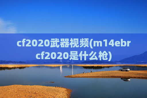 cf2020武器视频(m14ebrcf2020是什么枪)