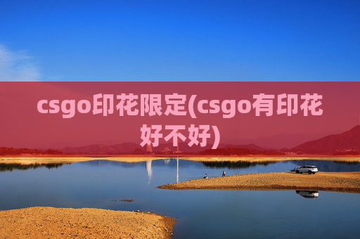 csgo印花限定(csgo有印花好不好)