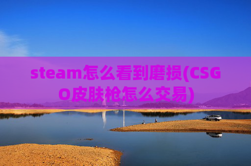 steam怎么看到磨损(CSGO皮肤枪怎么交易)