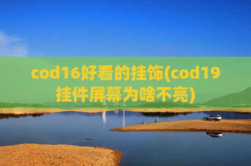 cod16好看的挂饰(cod19挂件屏幕为啥不亮)