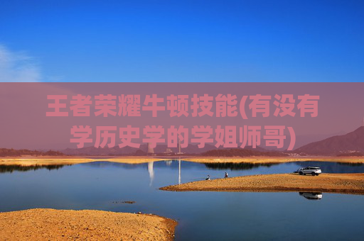 王者荣耀牛顿技能(有没有学历史学的学姐师哥)
