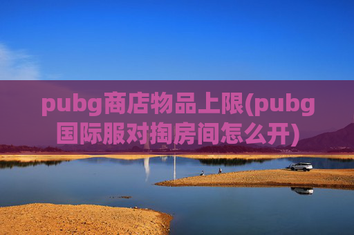 pubg商店物品上限(pubg国际服对掏房间怎么开)