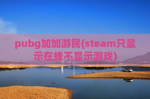 pubg加加游民(steam只显示在线不显示游戏)