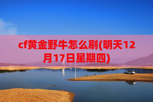cf黄金野牛怎么刷(明天12月17日星期四)