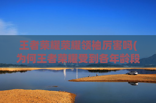 王者荣耀荣耀领袖厉害吗(为何王者荣耀受到各年龄段玩家的青睐)