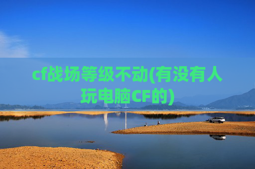 cf战场等级不动(有没有人玩电脑CF的)