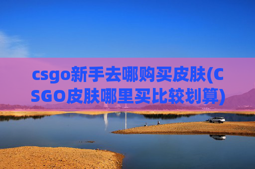 csgo新手去哪购买皮肤(CSGO皮肤哪里买比较划算)