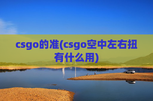 csgo的准(csgo空中左右扭有什么用)