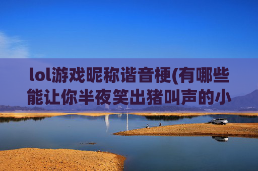 lol游戏昵称谐音梗(有哪些能让你半夜笑出猪叫声的小说)