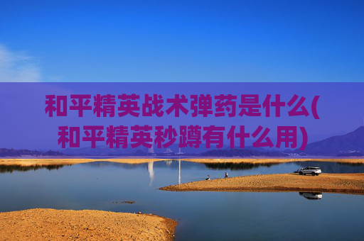 和平精英战术弹药是什么(和平精英秒蹲有什么用)