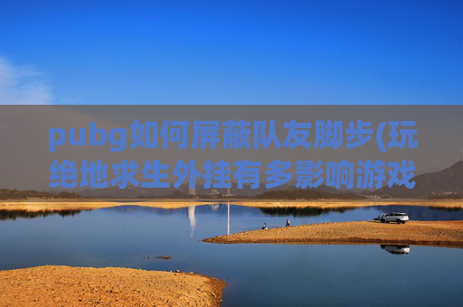 pubg如何屏蔽队友脚步(玩绝地求生外挂有多影响游戏体验)