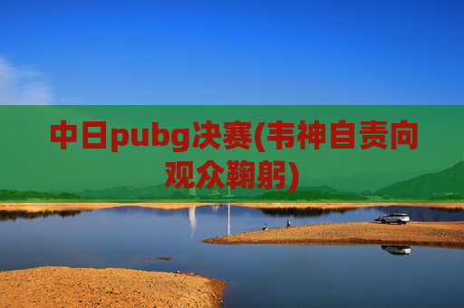 中日pubg决赛(韦神自责向观众鞠躬)