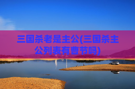 三国杀老是主公(三国杀主公列表有曹节吗)