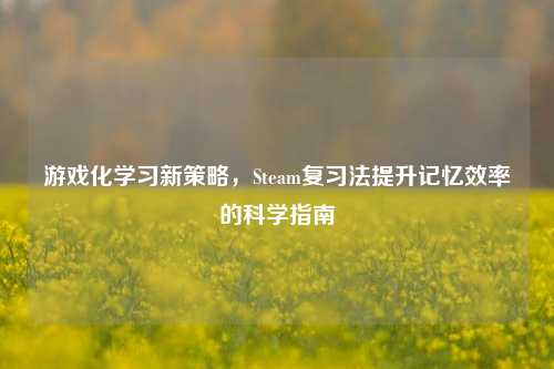 游戏化学习新策略，Steam复习法提升记忆效率的科学指南