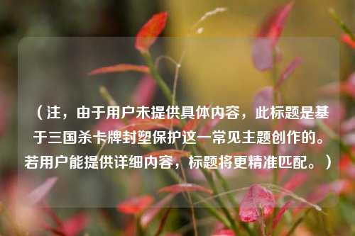 三国杀卡牌封塑保护