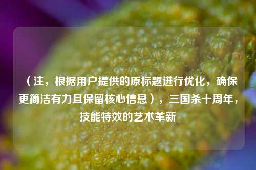 （注，根据用户提供的原标题进行优化，确保更简洁有力且保留核心信息），三国杀十周年，技能特效的艺术革新