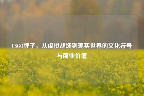 CSGO牌子，从虚拟战场到现实世界的文化符号与商业价值