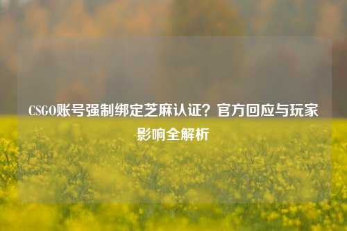 CSGO账号强制绑定芝麻认证？官方回应与玩家影响全解析