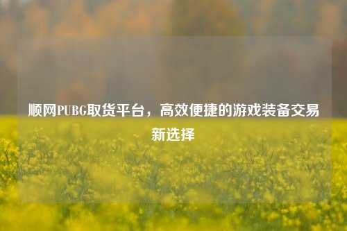 详细阅读:顺网PUBG取货平台,高效便捷的游戏装备交易新选择 顺网PUBG取货平台,高效便捷的游戏装备交易新选择