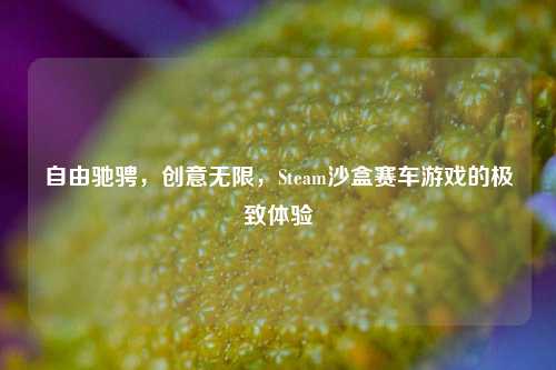 自由驰骋，创意无限，Steam沙盒赛车游戏的极致体验