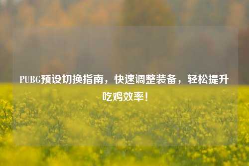 PUBG预设切换指南，快速调整装备，轻松提升吃鸡效率！
