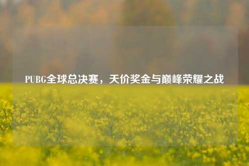 详细阅读:PUBG全球总决赛,天价奖金与巅峰荣耀之战 PUBG全球总决赛,天价奖金与巅峰荣耀之战