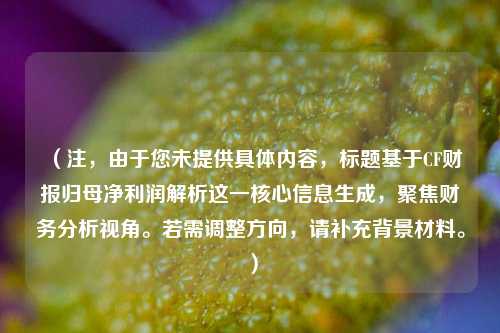 （注，由于您未提供具体内容，标题基于CF财报归母净利润解析这一核心信息生成，聚焦财务分析视角。若需调整方向，请补充背景材料。）