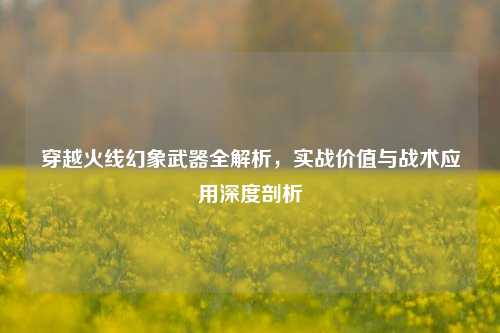 穿越火线幻象武器全解析，实战价值与战术应用深度剖析